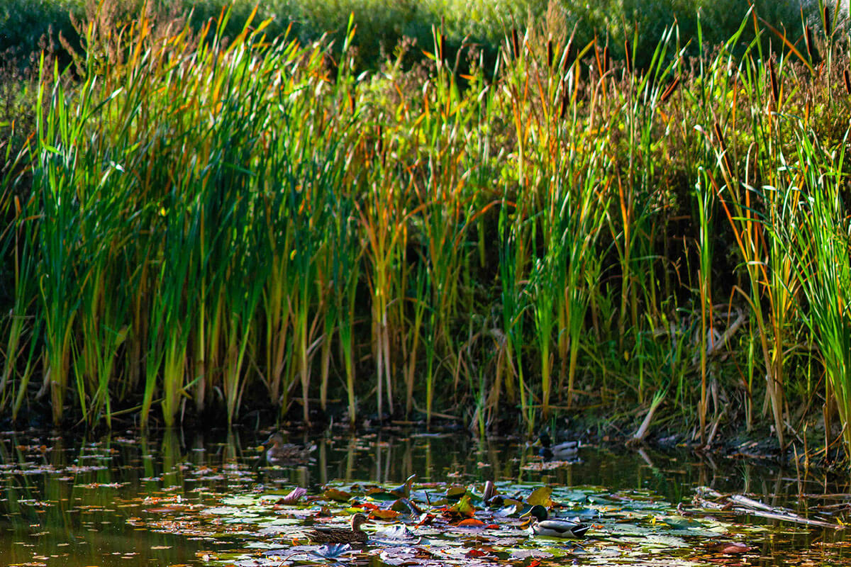 teich baugrundstueck wartenberger anger